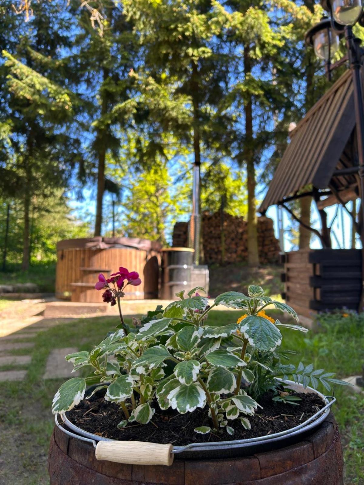 Dobrze Mi Tu-Kikity Lägenhet Exteriör bild